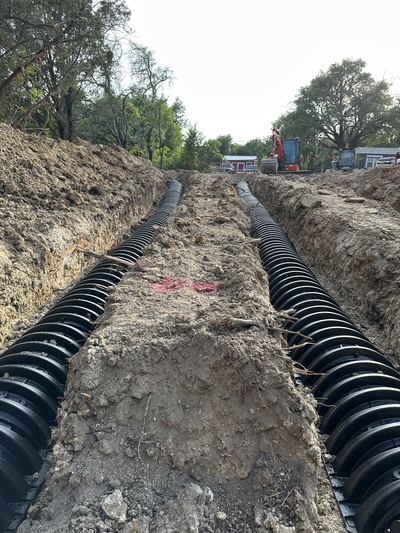 Chamber runs in shallow rocky soil